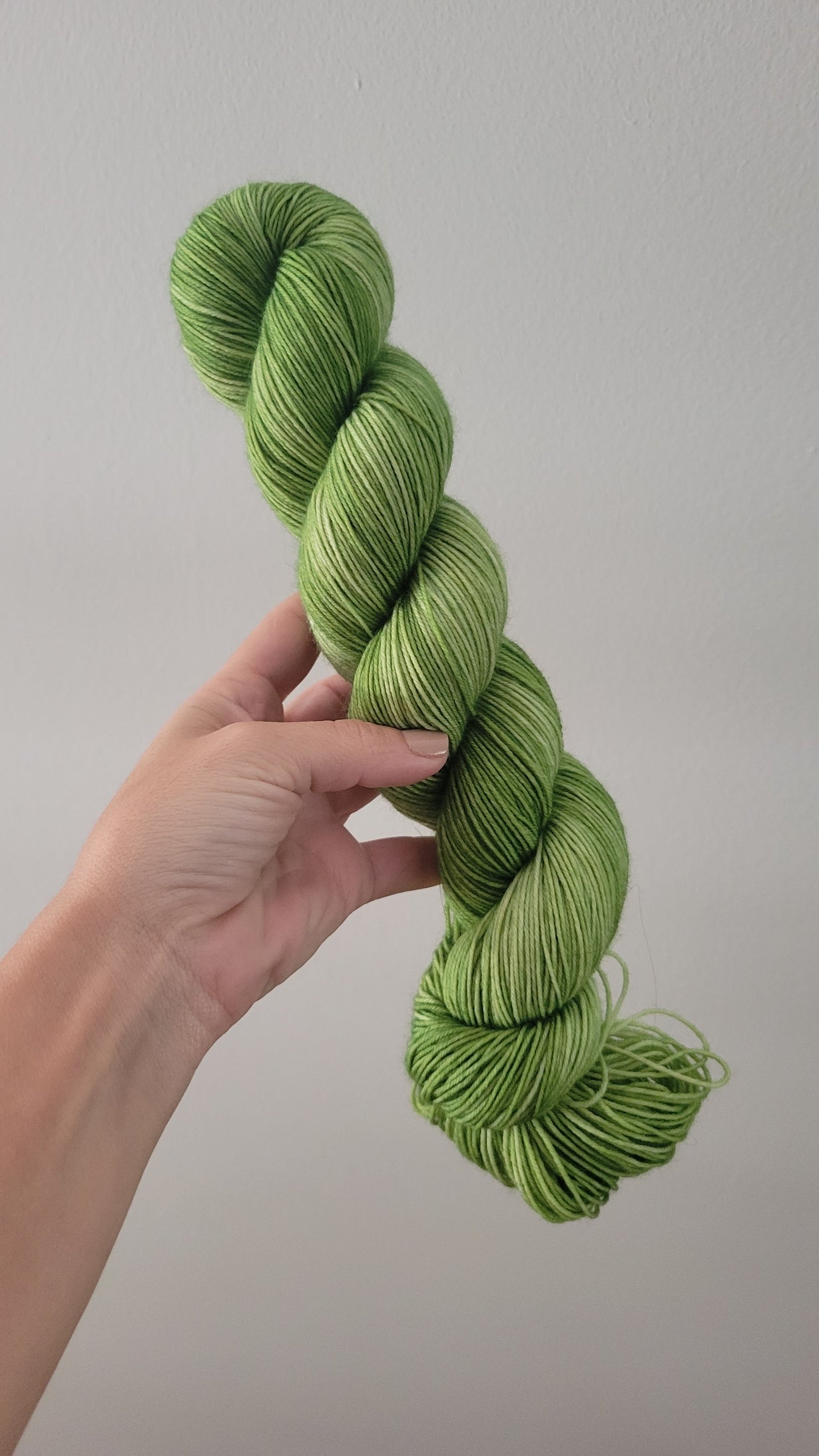 Scallions