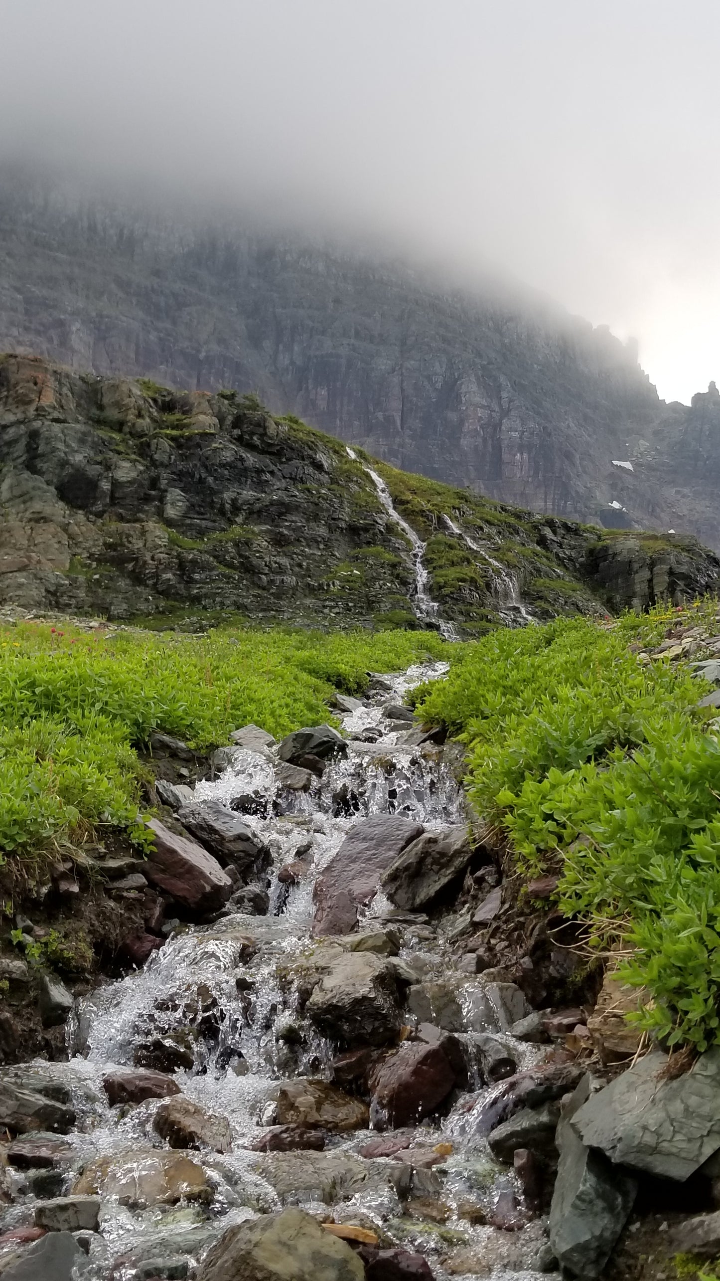 From the Open Road - Glacier NP