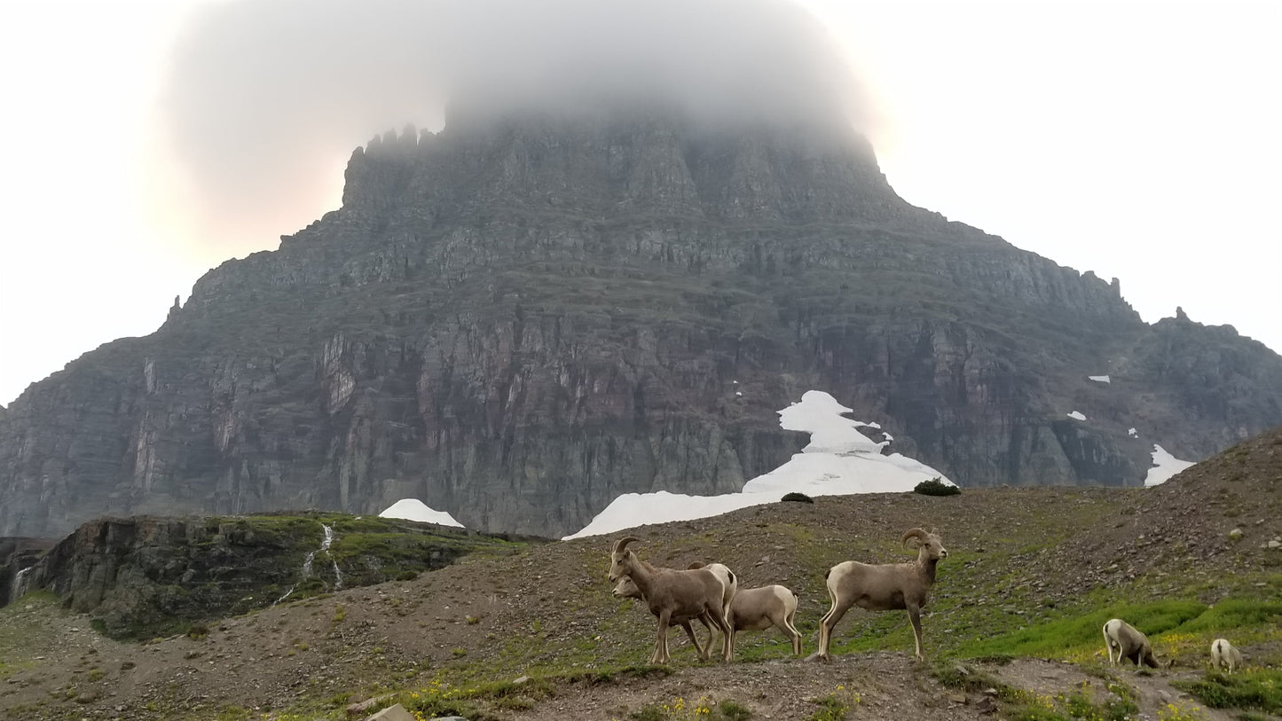 From the Open Road - Glacier NP - Ready to Ship