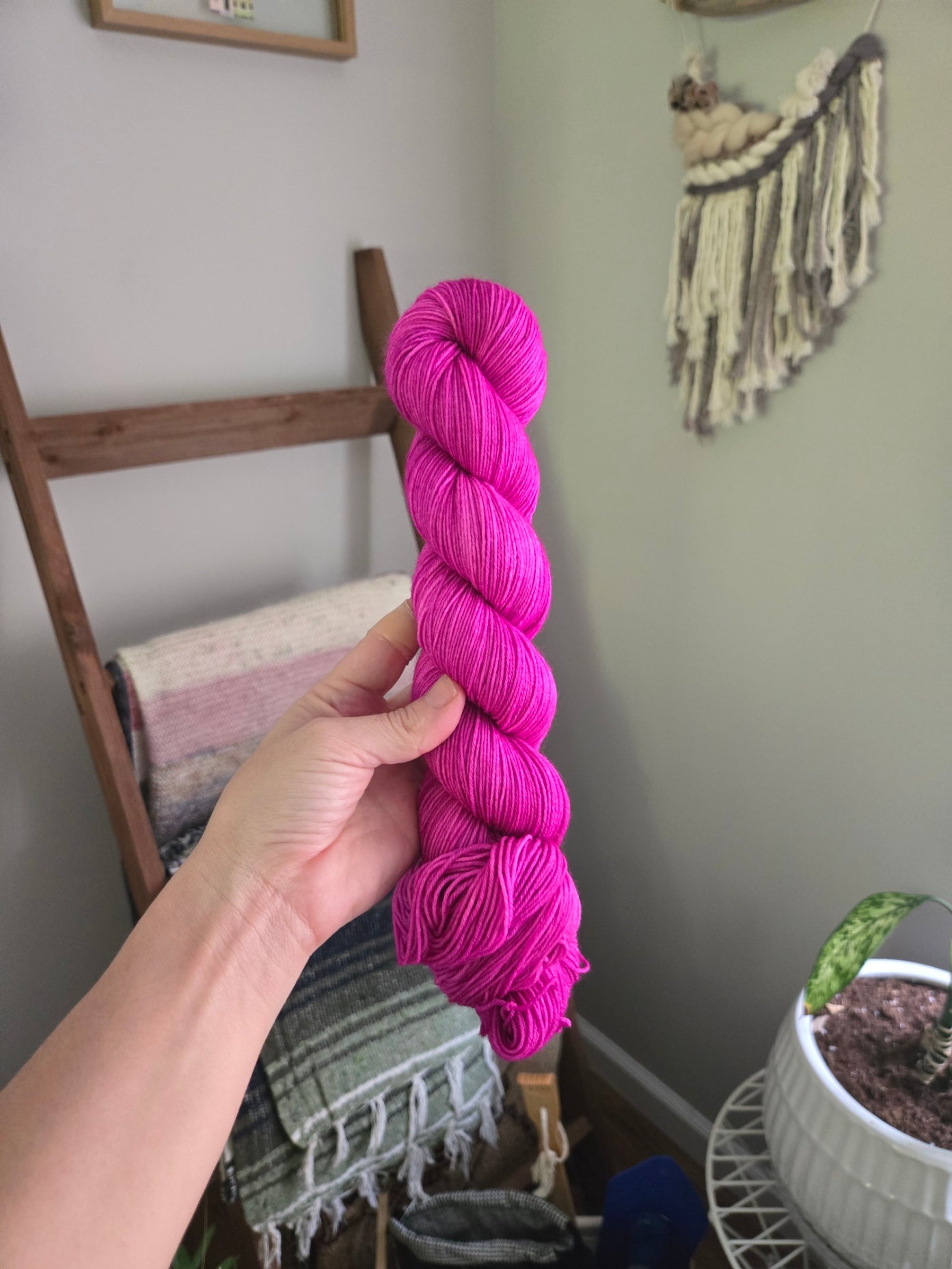 Bouganvillea
