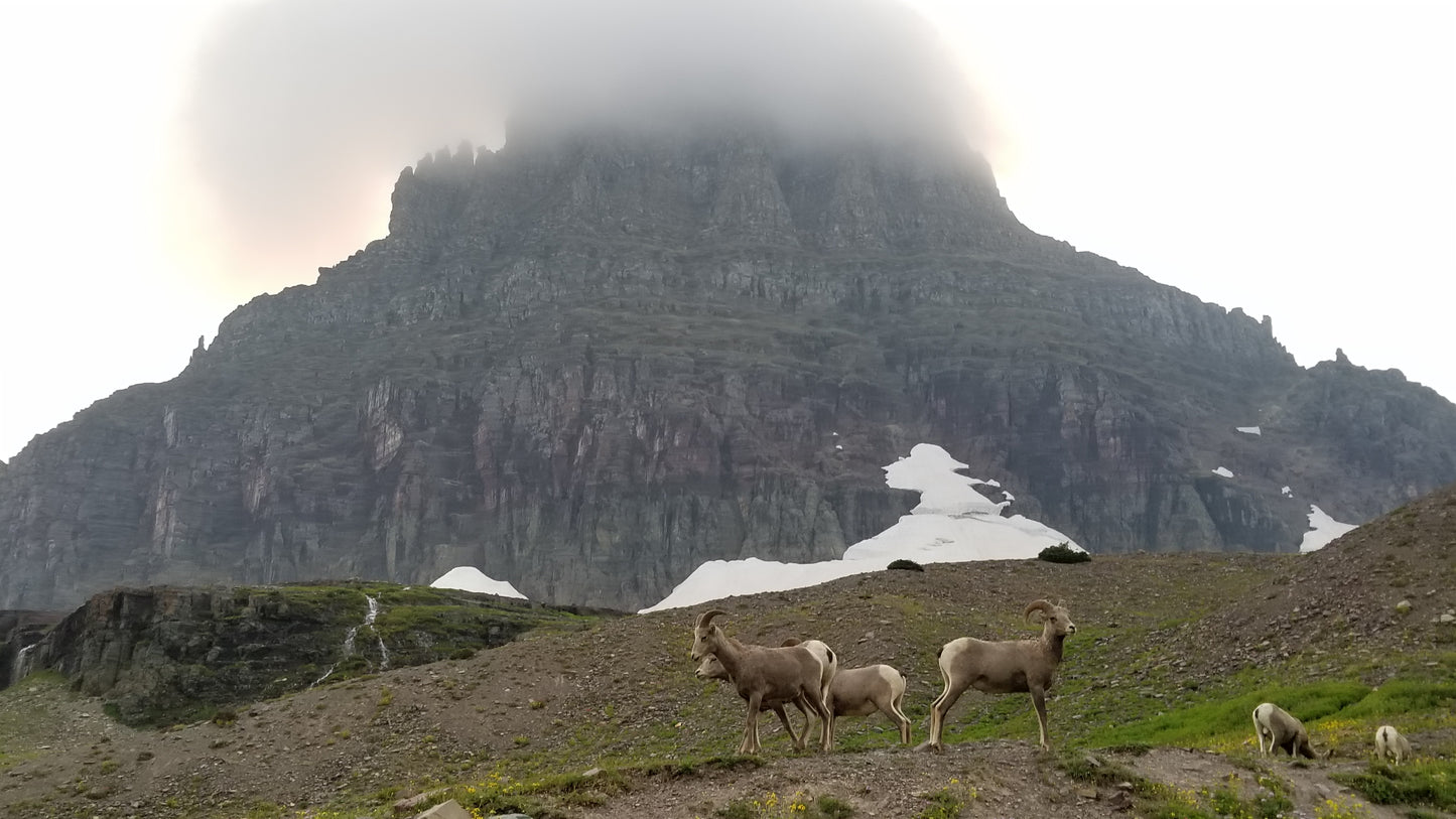 From the Open Road - Glacier NP