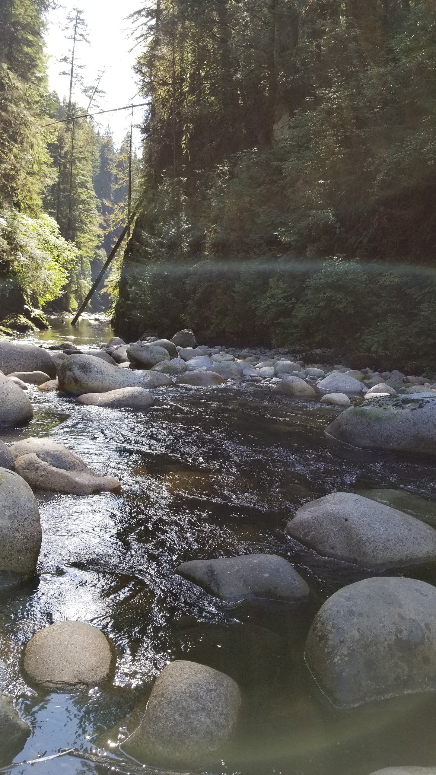 From the Open Road - Vancouver Trail