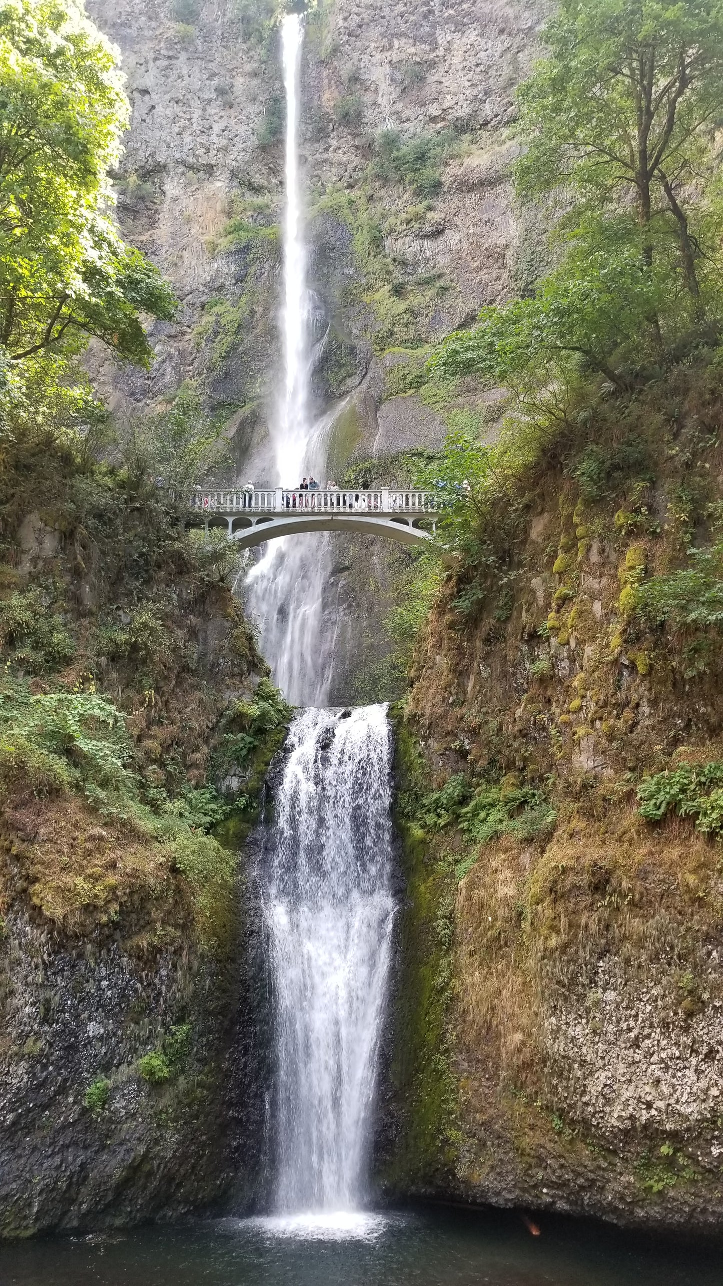 From the Open Road - Multnomah Falls