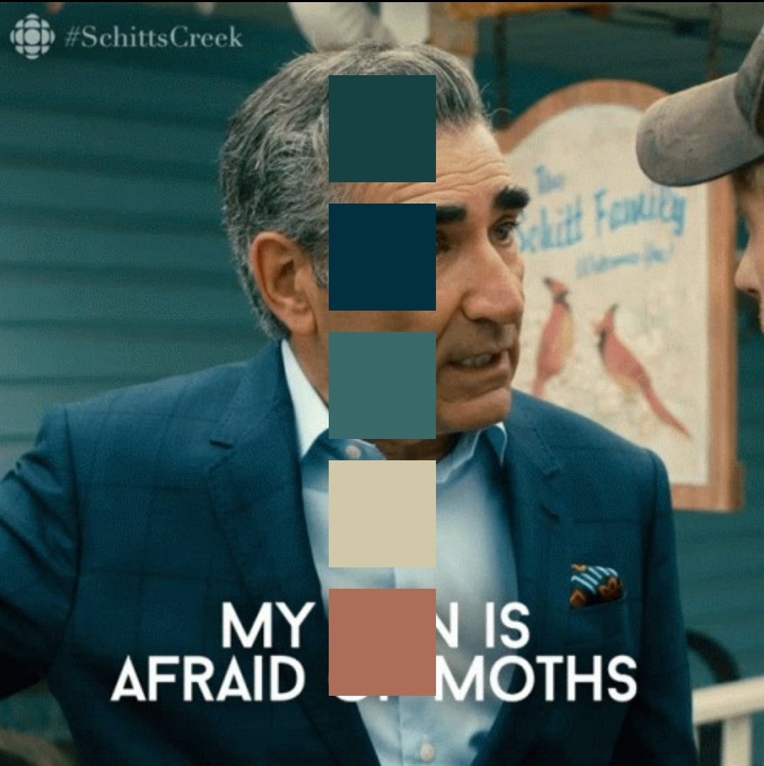 Afraid of Moths